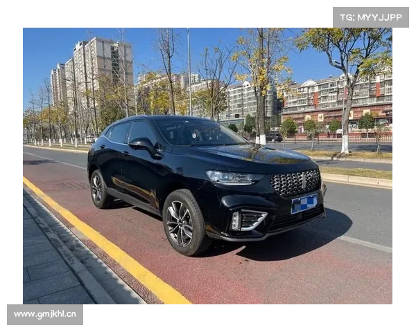 主打“年轻化”的2021款 WEY VV5,有哪些新的亮点? 主打“年轻化”的2021款 WEY VV5,有哪些新的亮点?